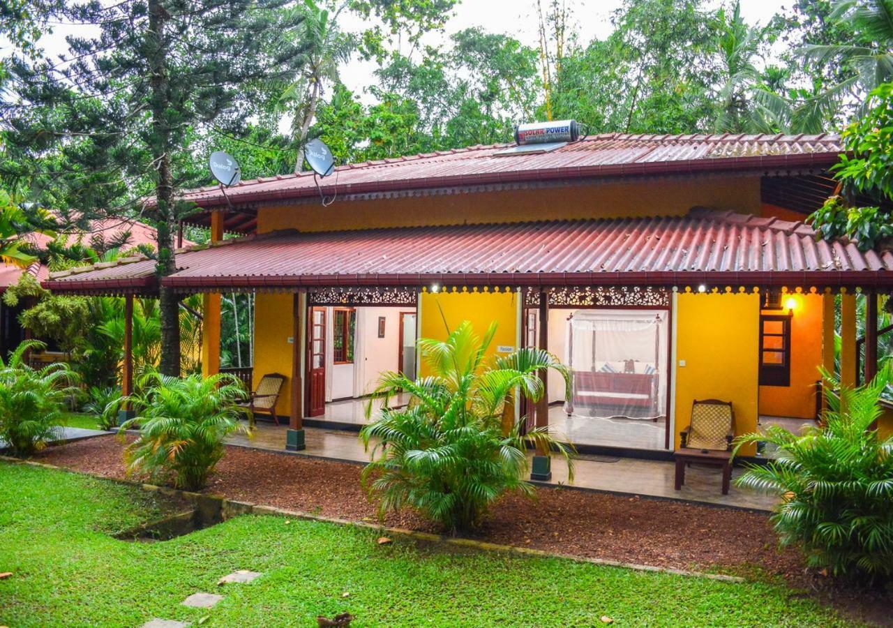 Araliya Gardens Hotel Hikkaduwa Exterior foto